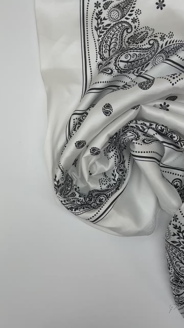 Charger la vidéo : video 4f1cea3a-337b-4b80-a745-1a8d498682a8