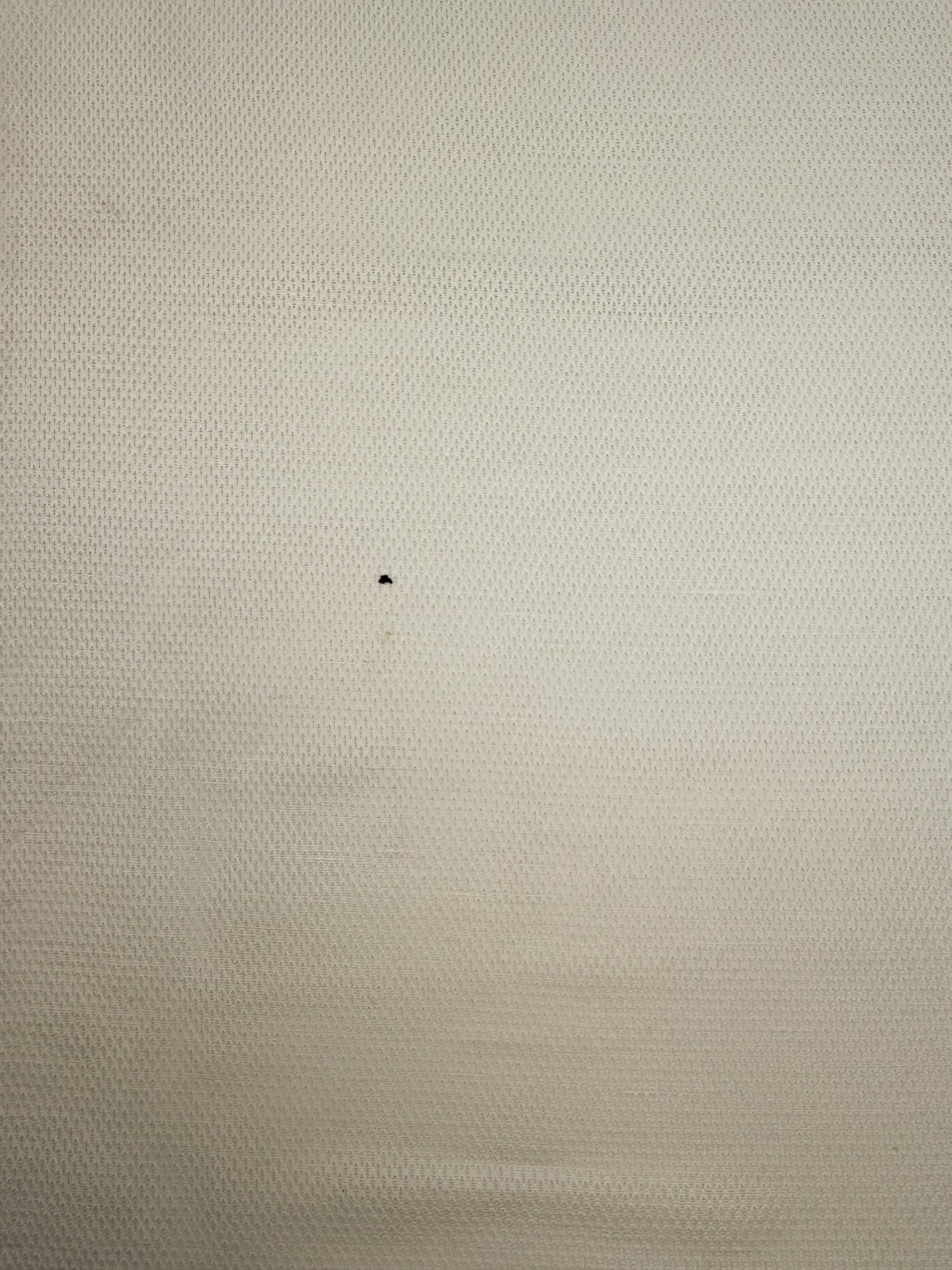 GH-194d image 5