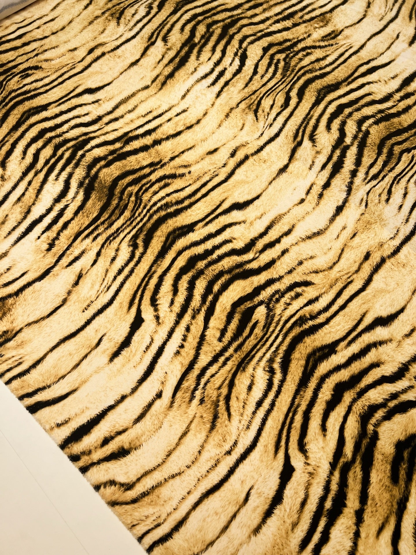 TZ-456 image 5