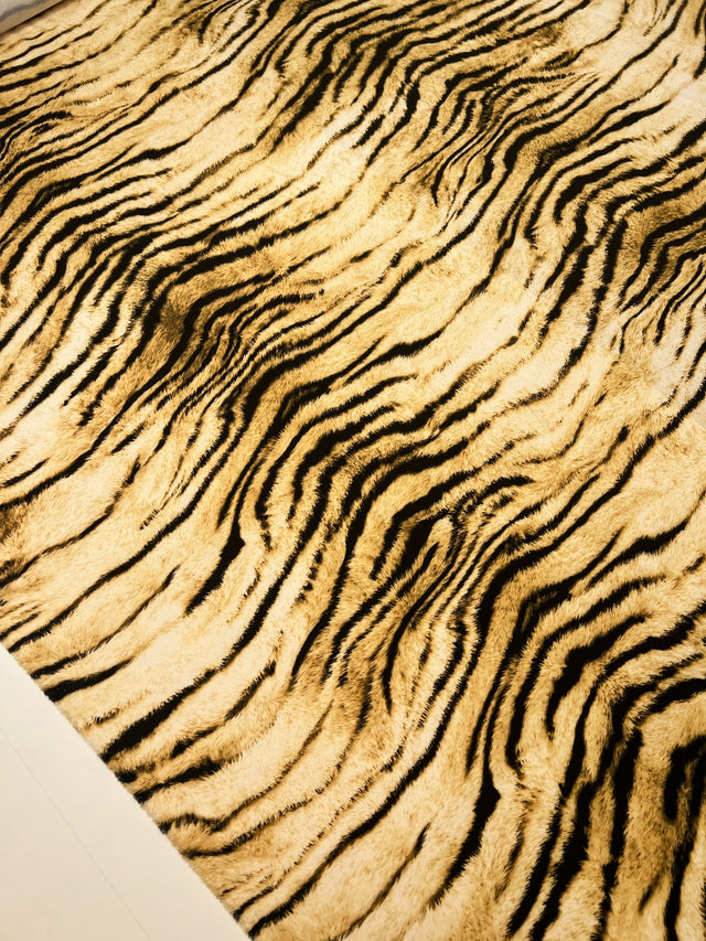 TZ-456 image 5