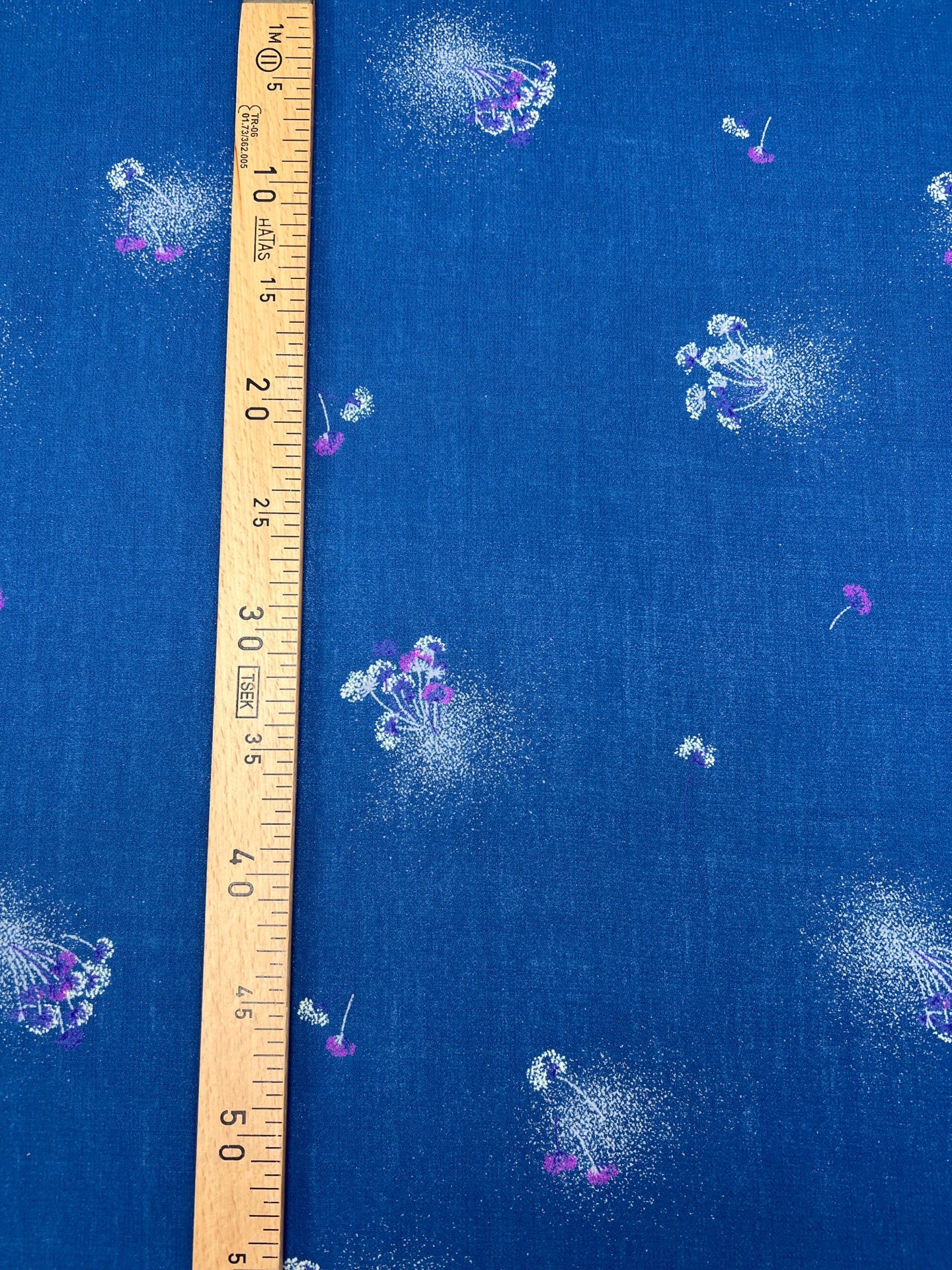 TR-173 – image 4