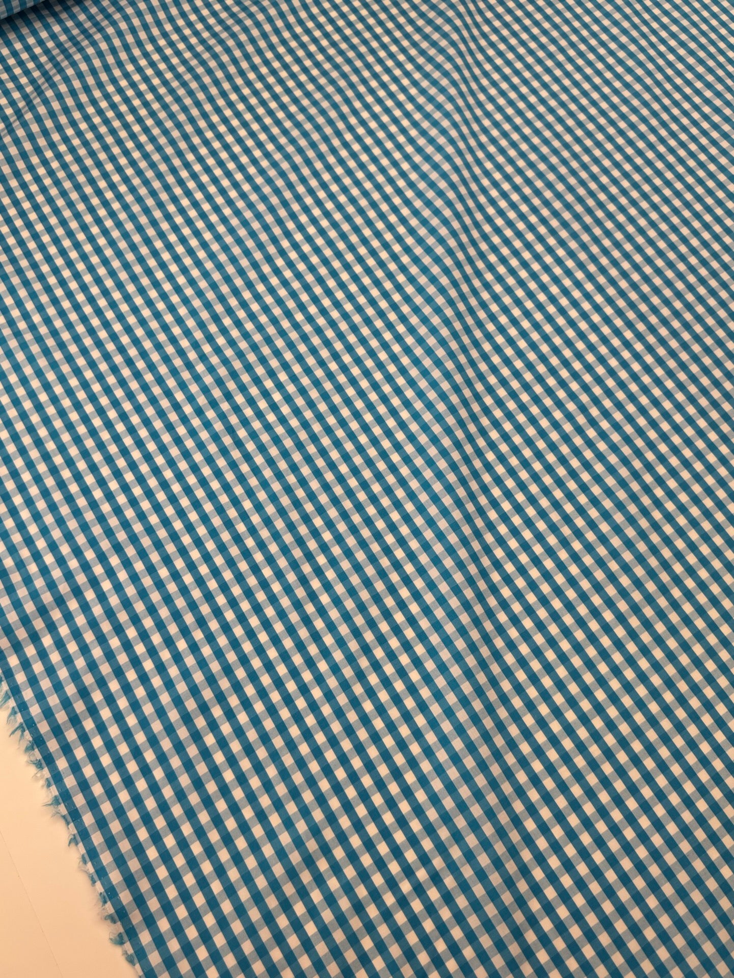 GE-019 image 5