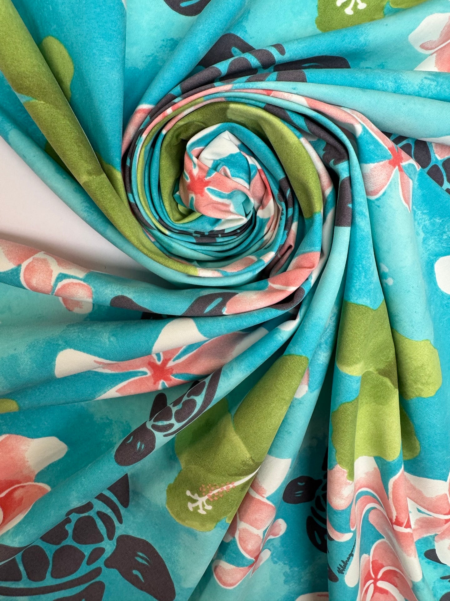 DF-1255 – image 1