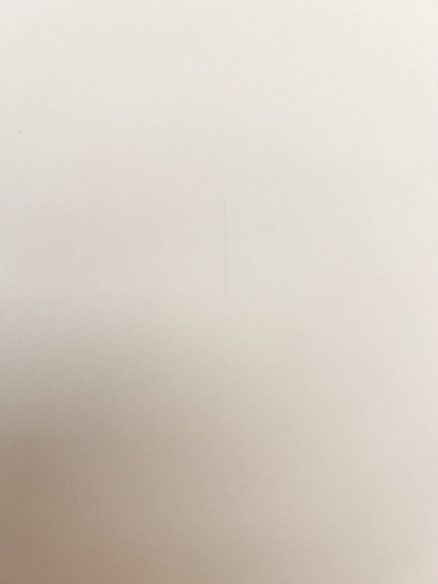 DE-031d image 4