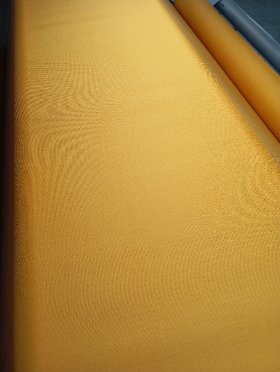 TB-123d – image 4
