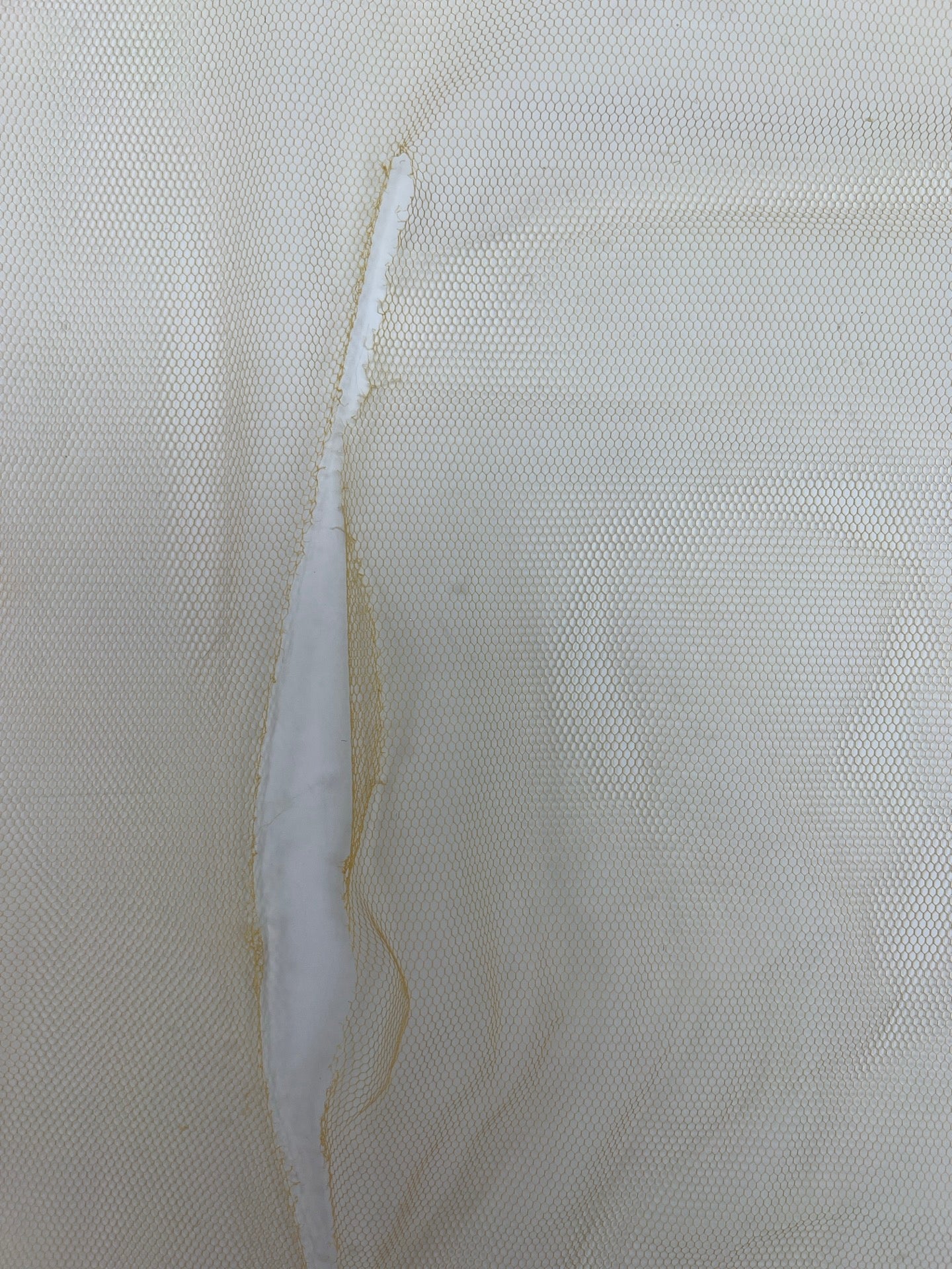 NM-171d – image 4
