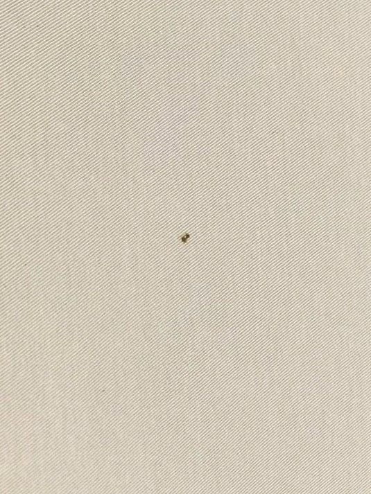 GB-297d image 5