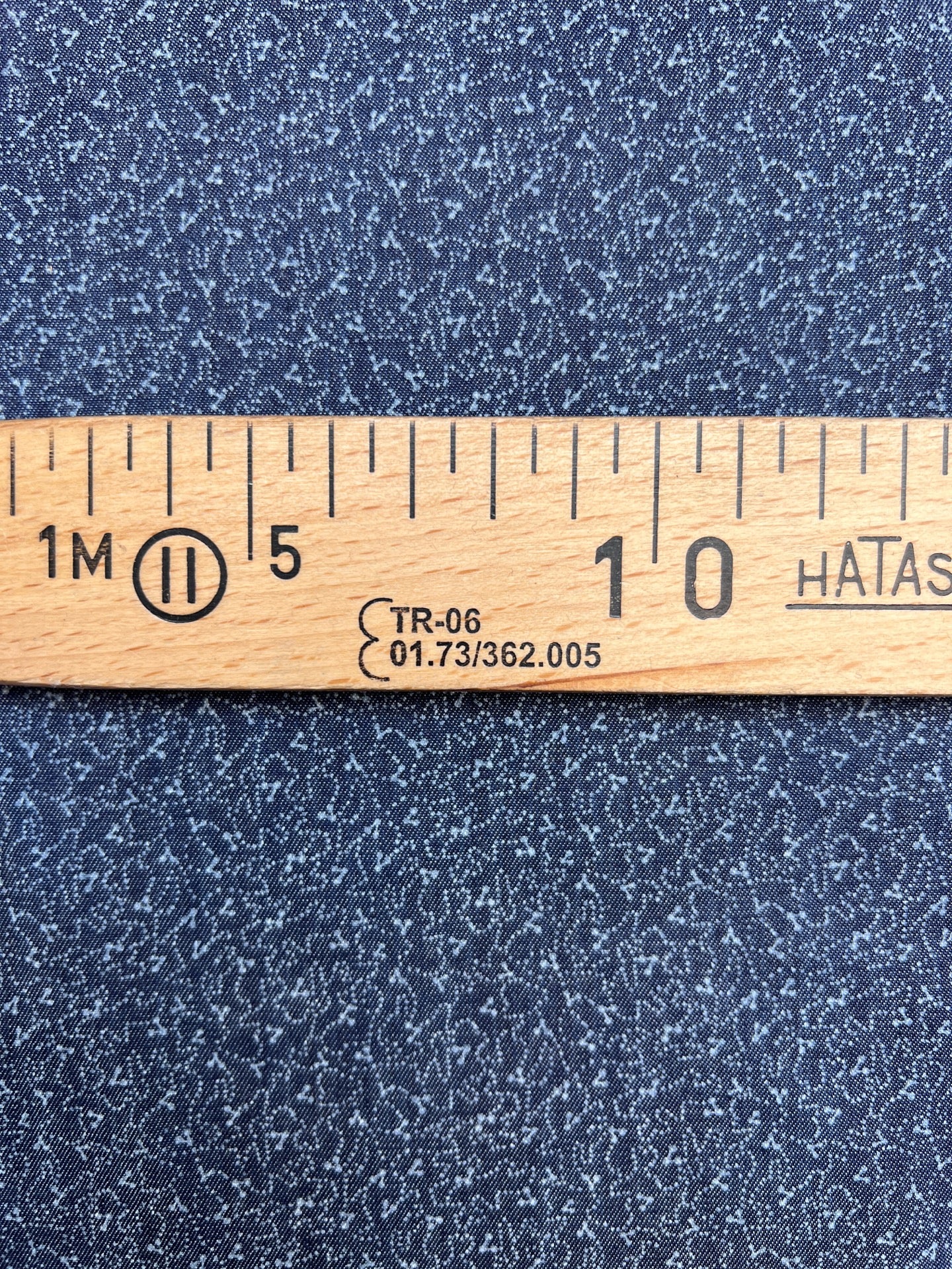 TH-200 image 4