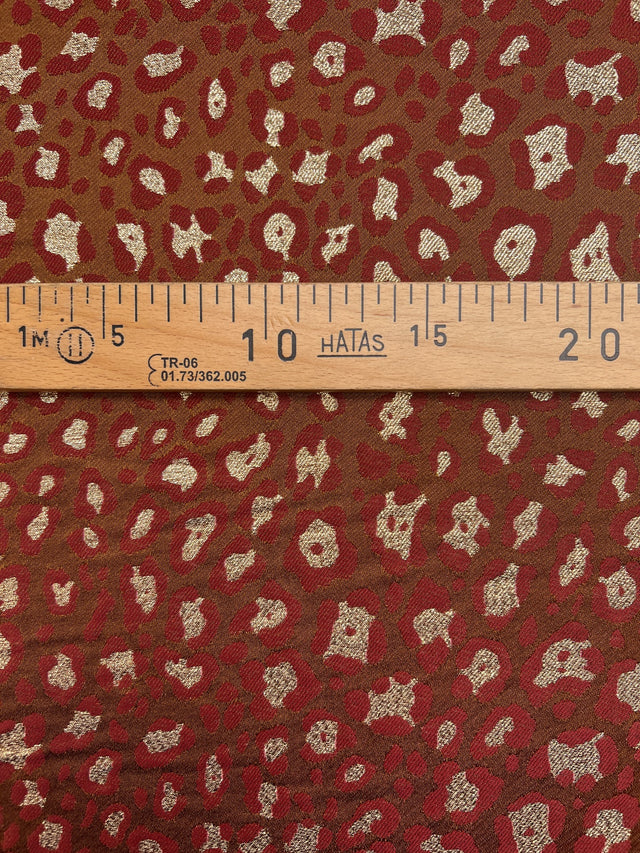 DN-022 image 4