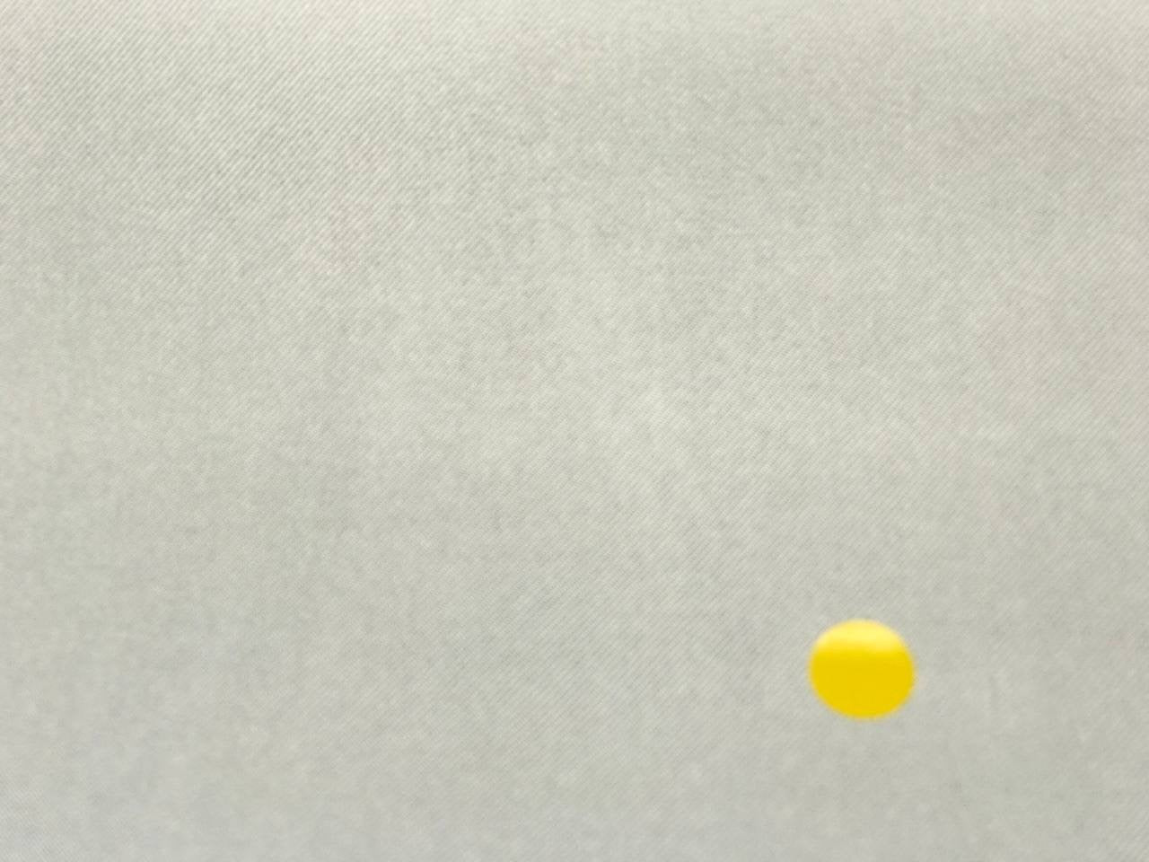 DN-061d image 5