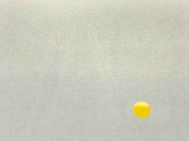 DN-061d image 5