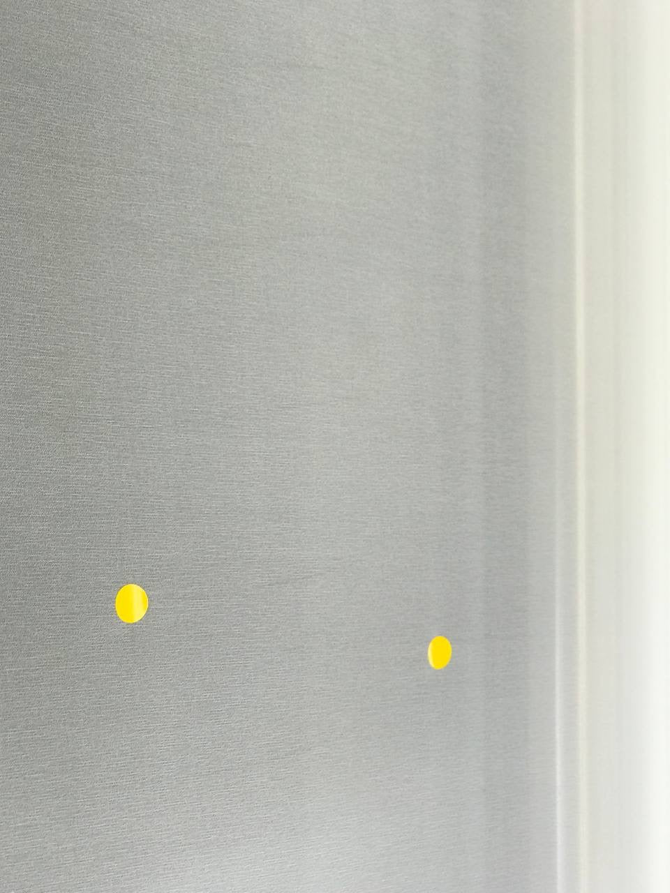 DN-087d image 4