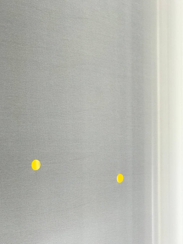DN-087d image 4