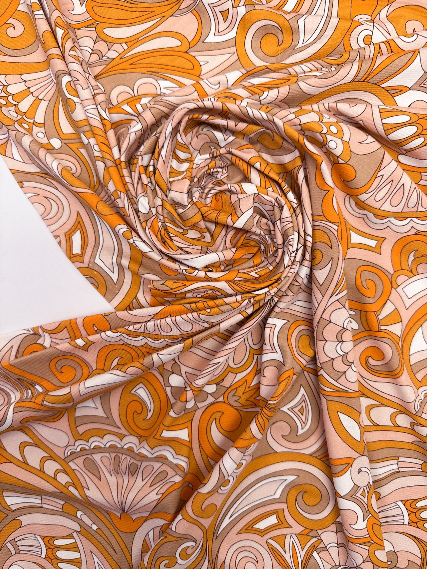 TN-534 – image 1
