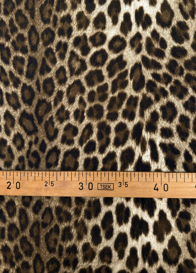 TZ-178 image 4