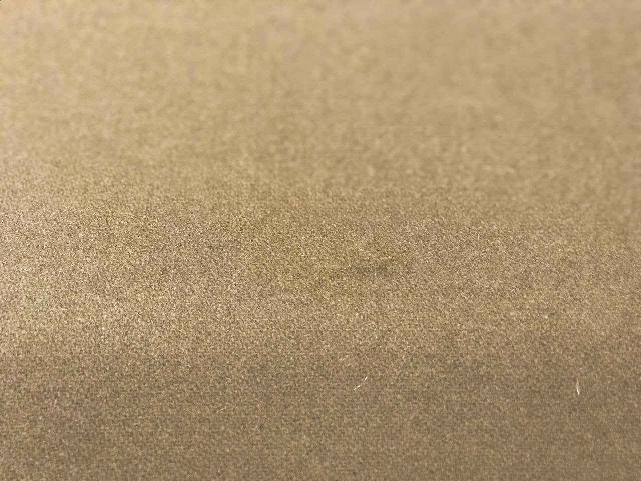 CA-008d image 4