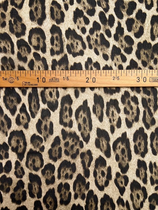 TZ-555 image 4