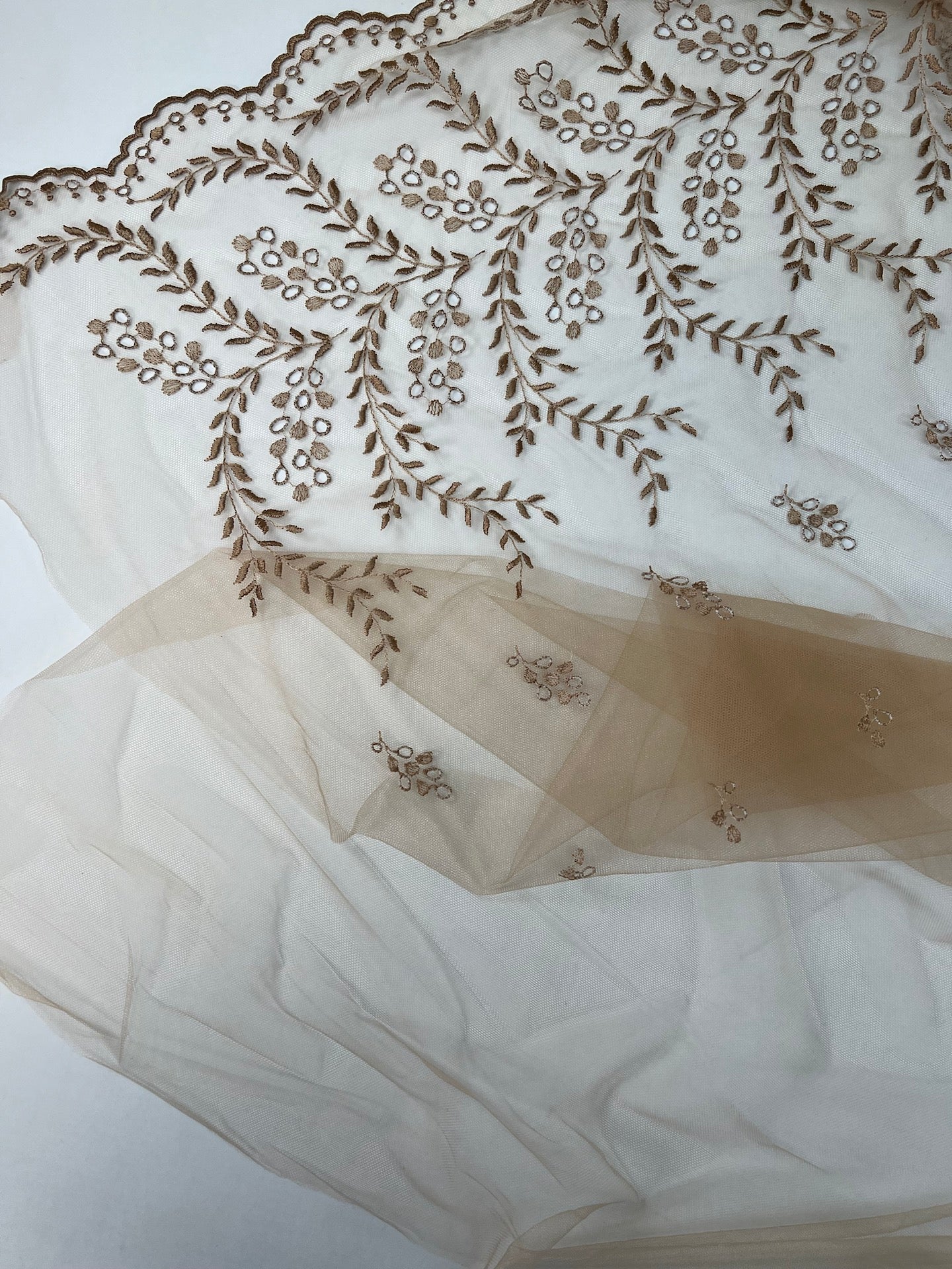 GG-039 – image 4