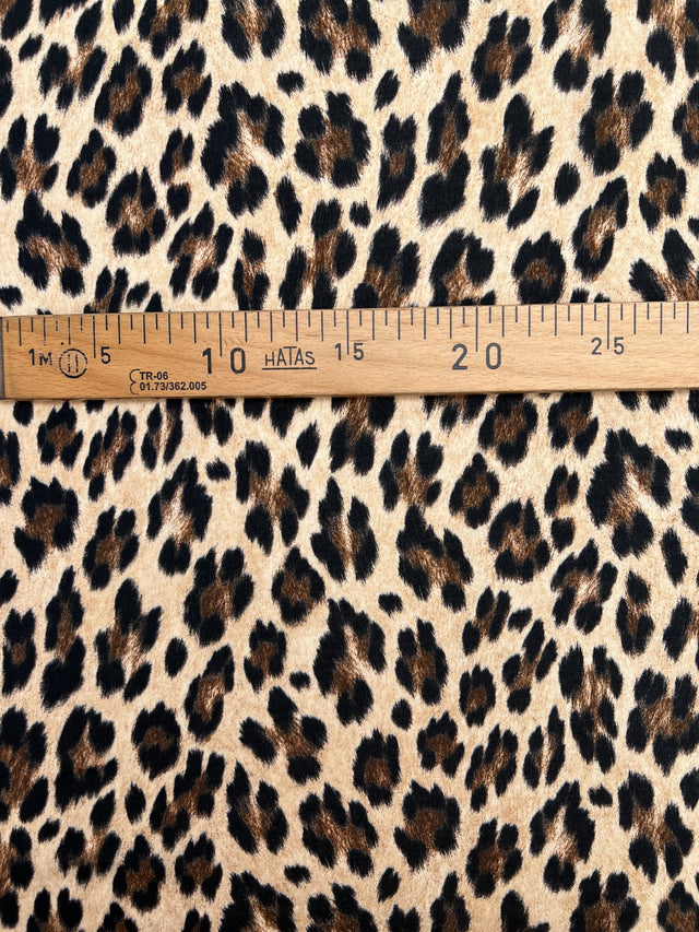 TZ-260 image 4