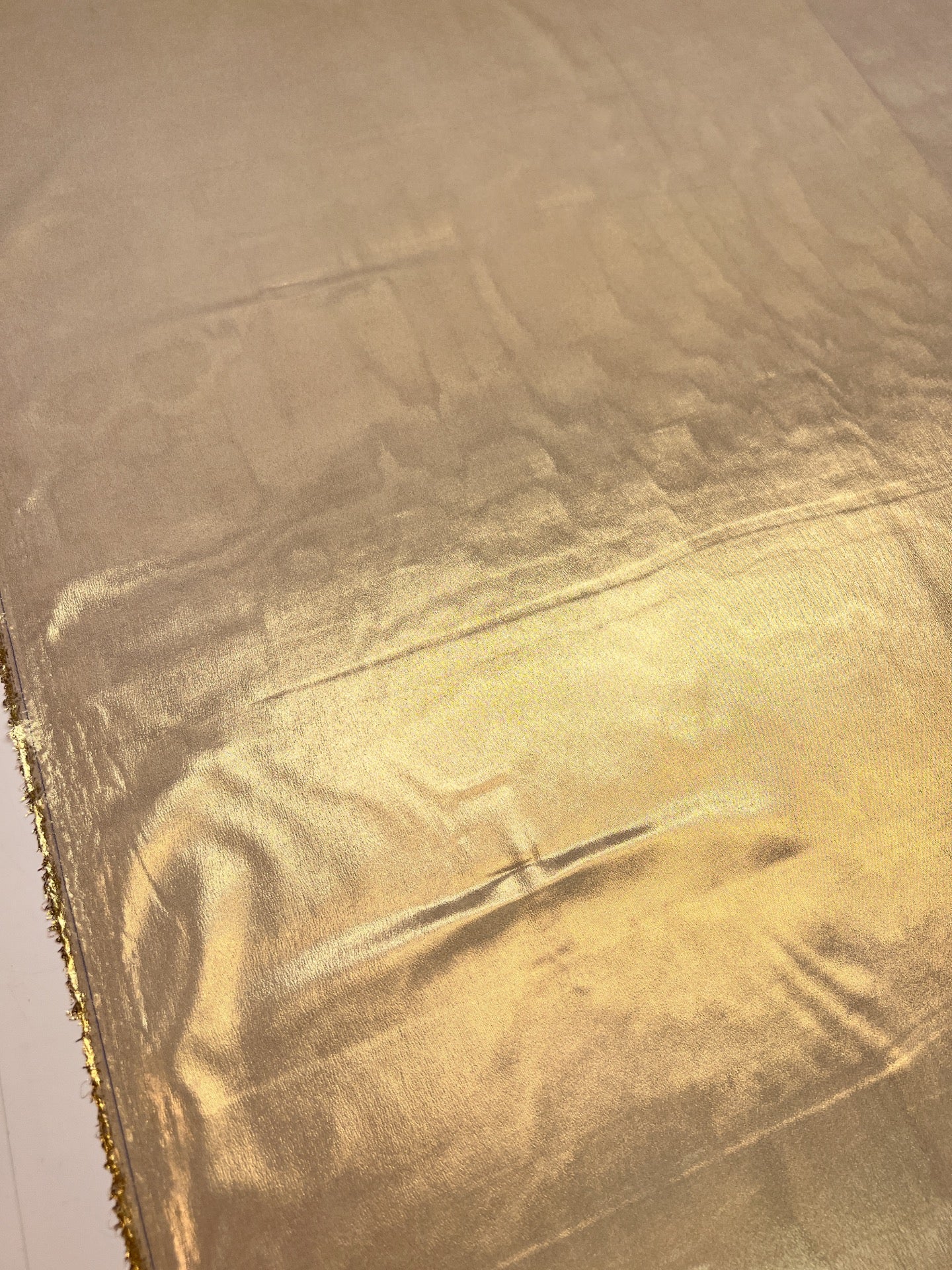 GH-299 image 4
