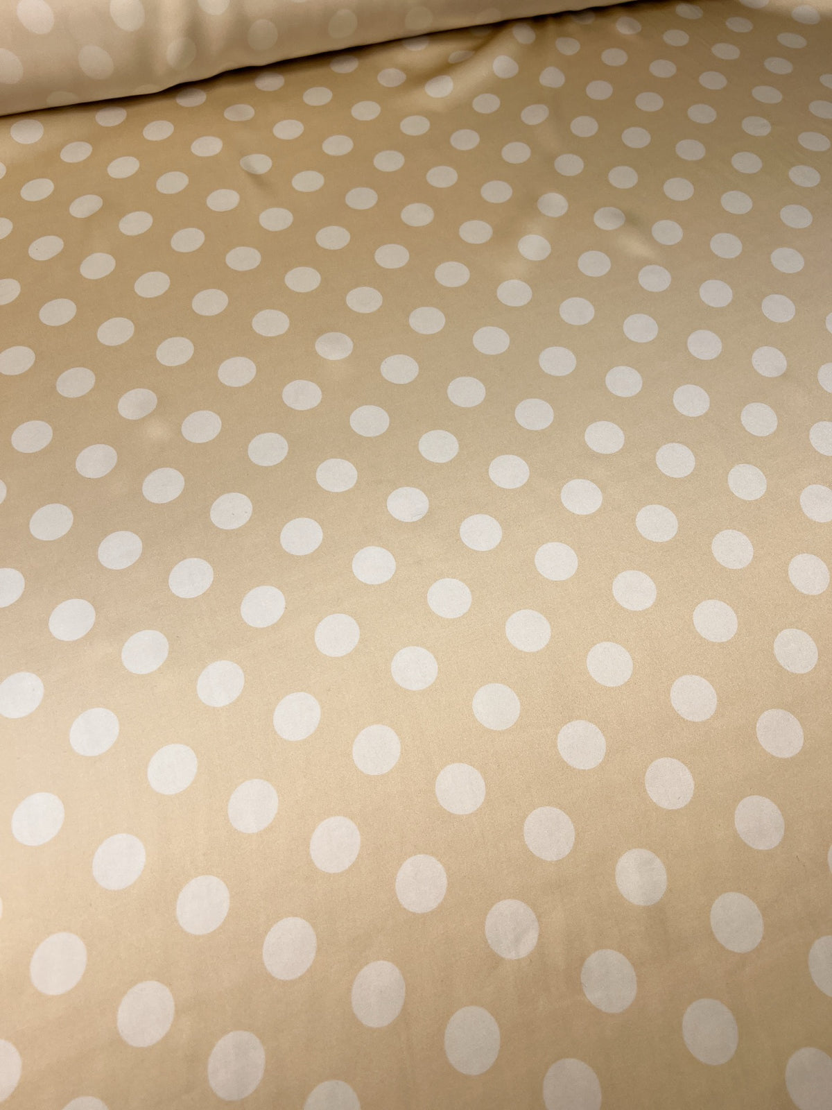 TE-079 image 4