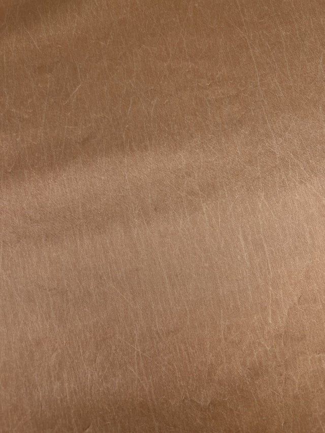 DN-113 image 4
