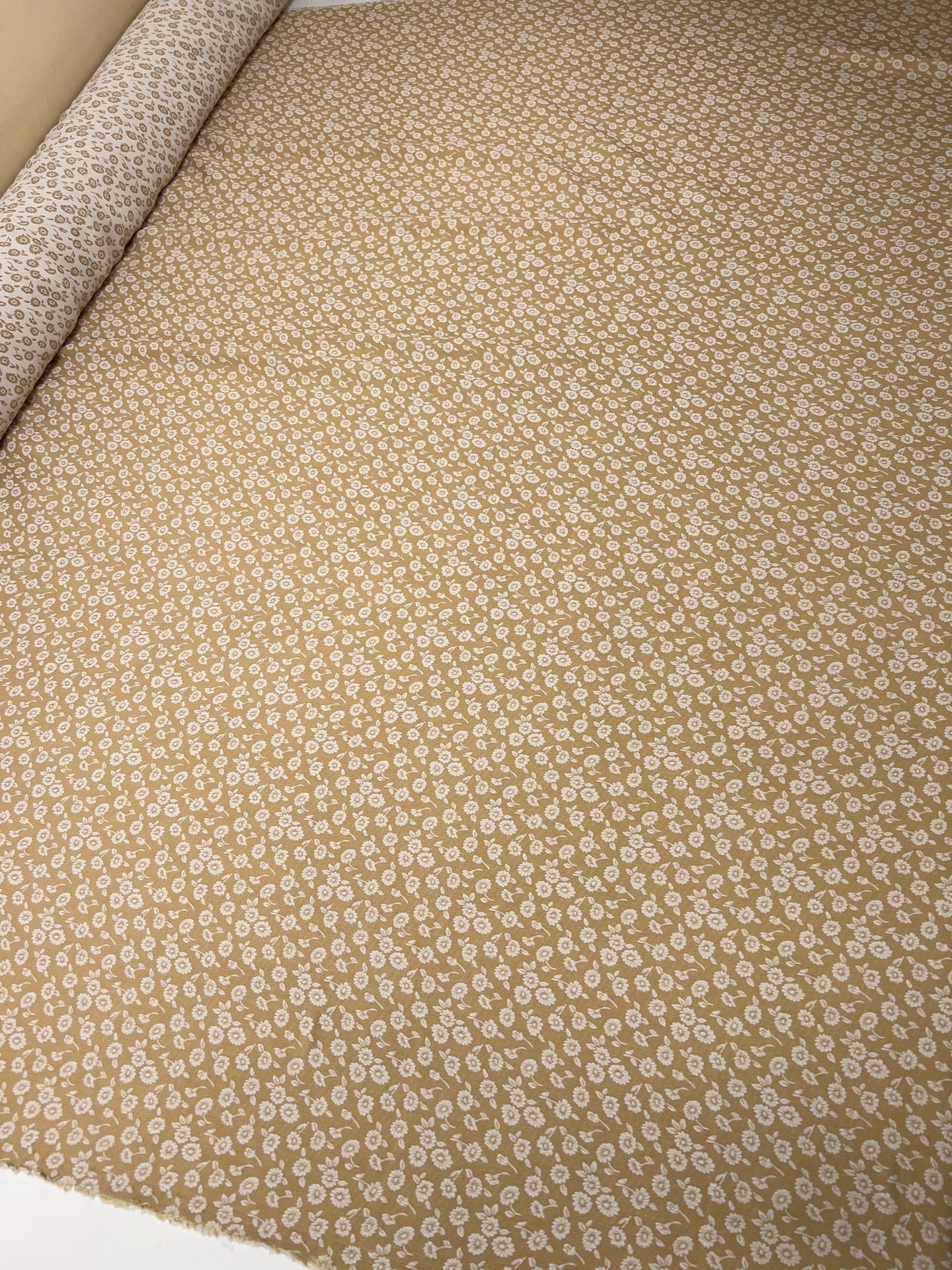 TR-188 – image 5