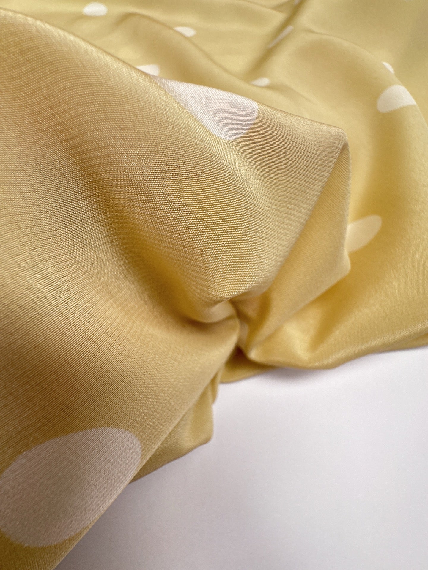 CD-008d – image 3