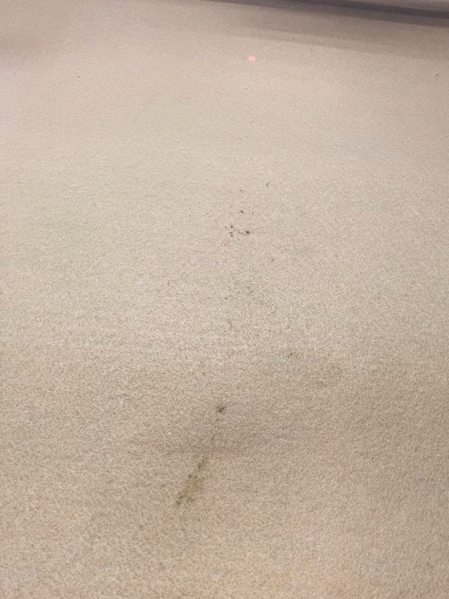 AV-1837d – image 5