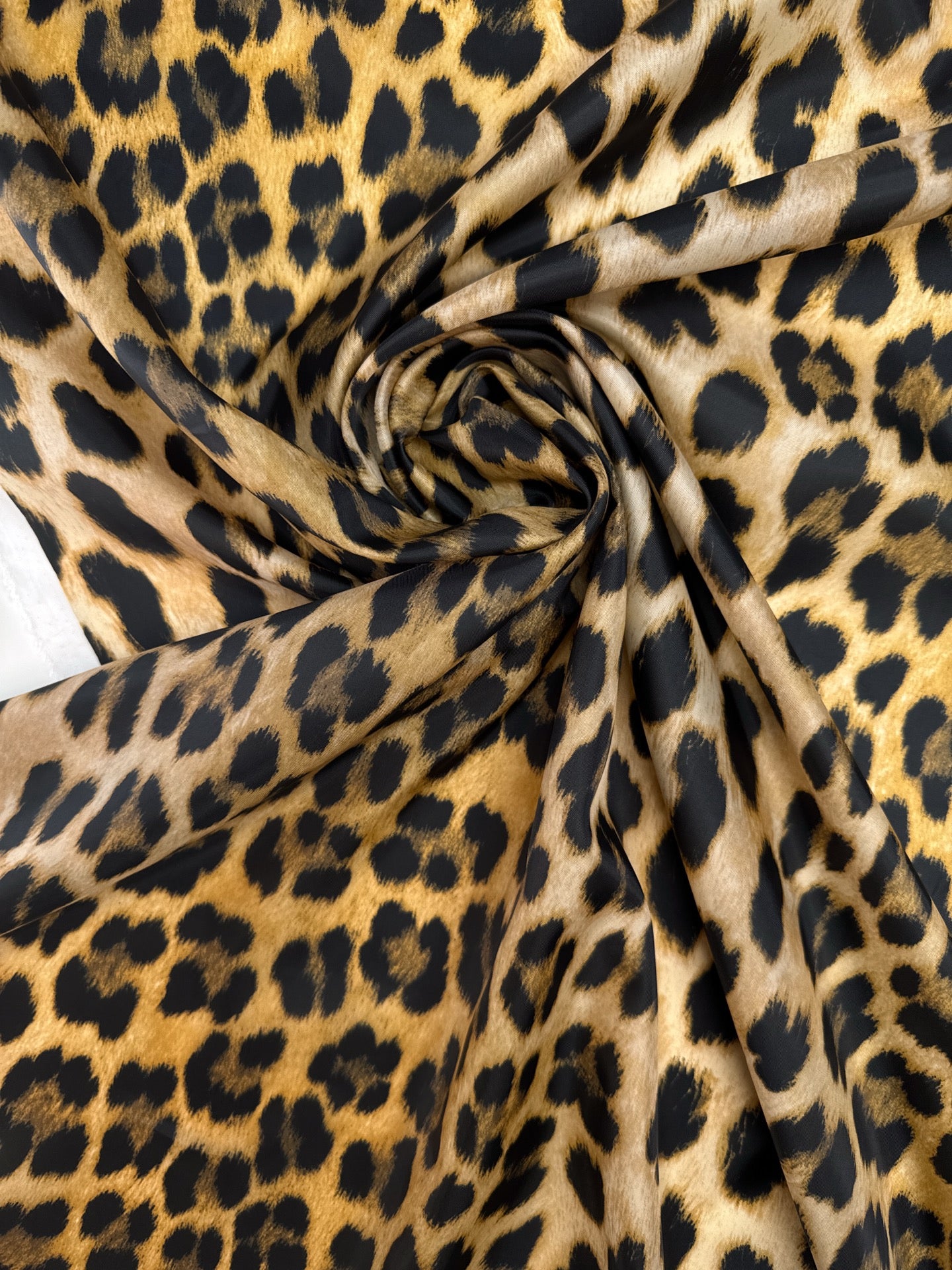 TZ-181 image 1
