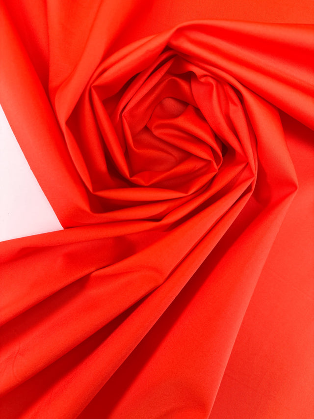 TB-1795d – image 1