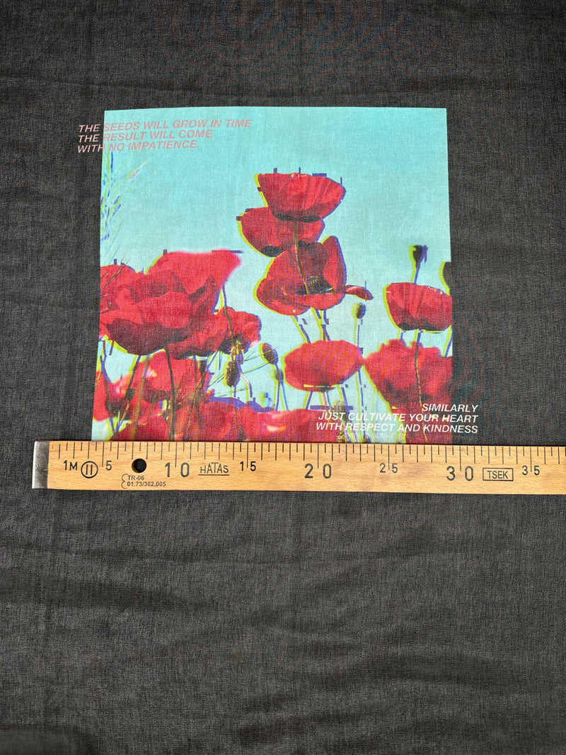 MP-597 – image 4
