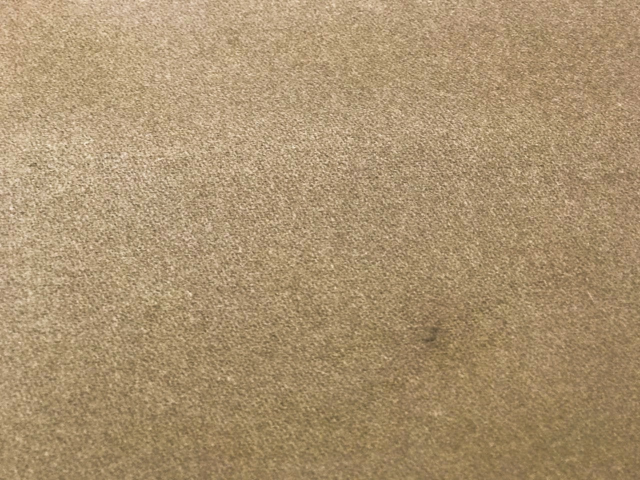 CA-008d image 5