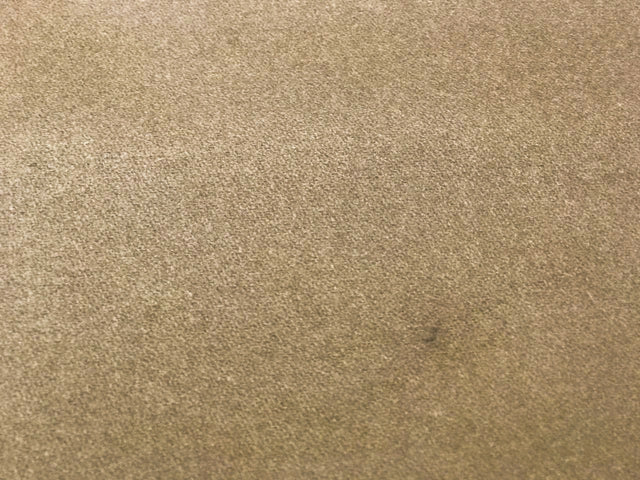 CA-008d image 5