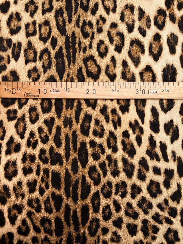 TZ-512 image 4