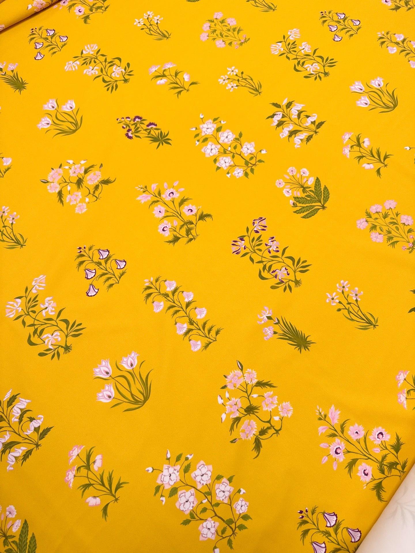 TN-503d – image 5