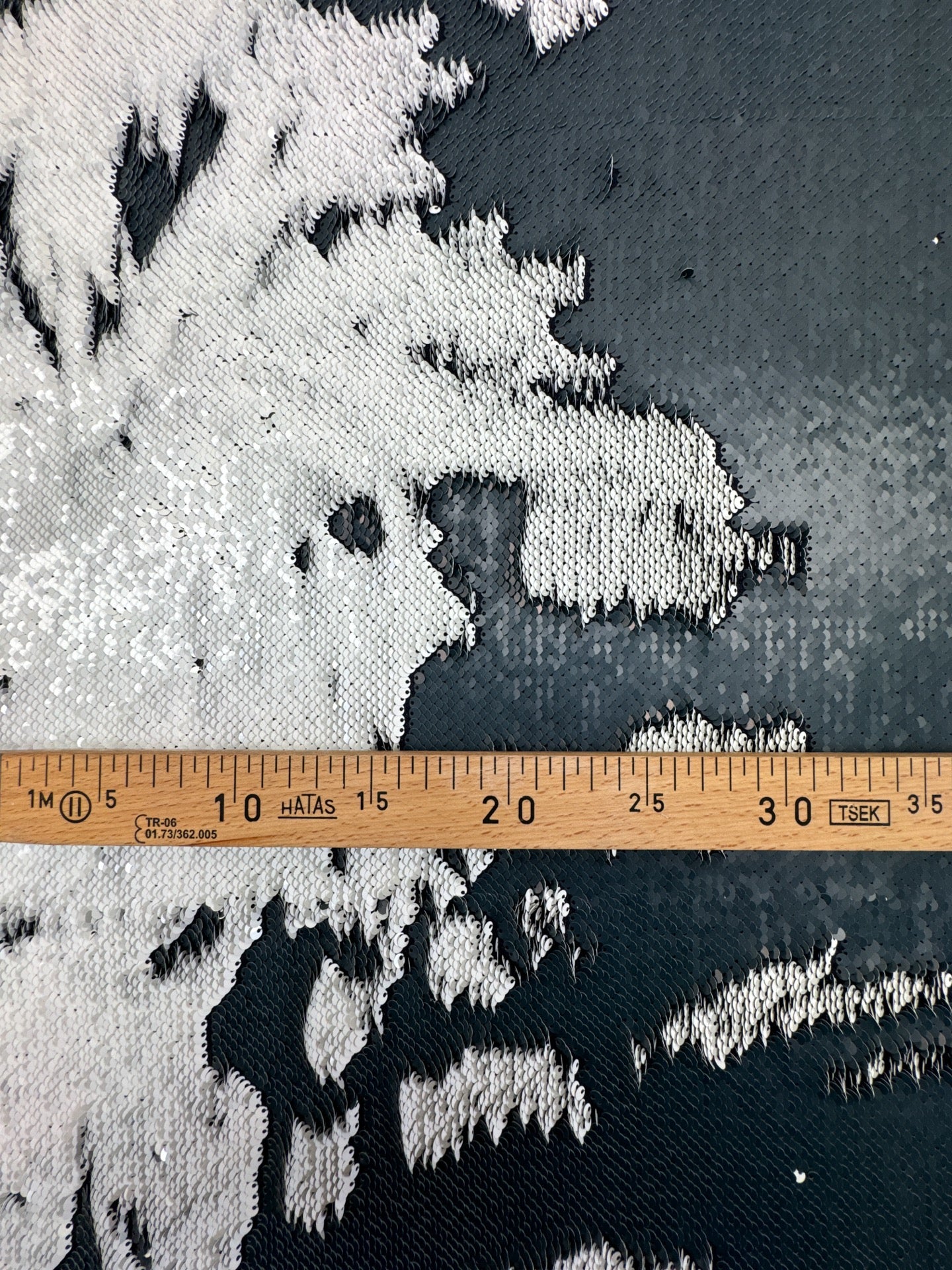 CS-243 – image 4