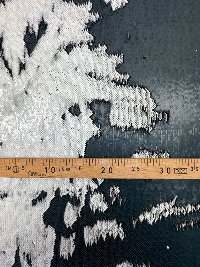 CS-243 – image 4