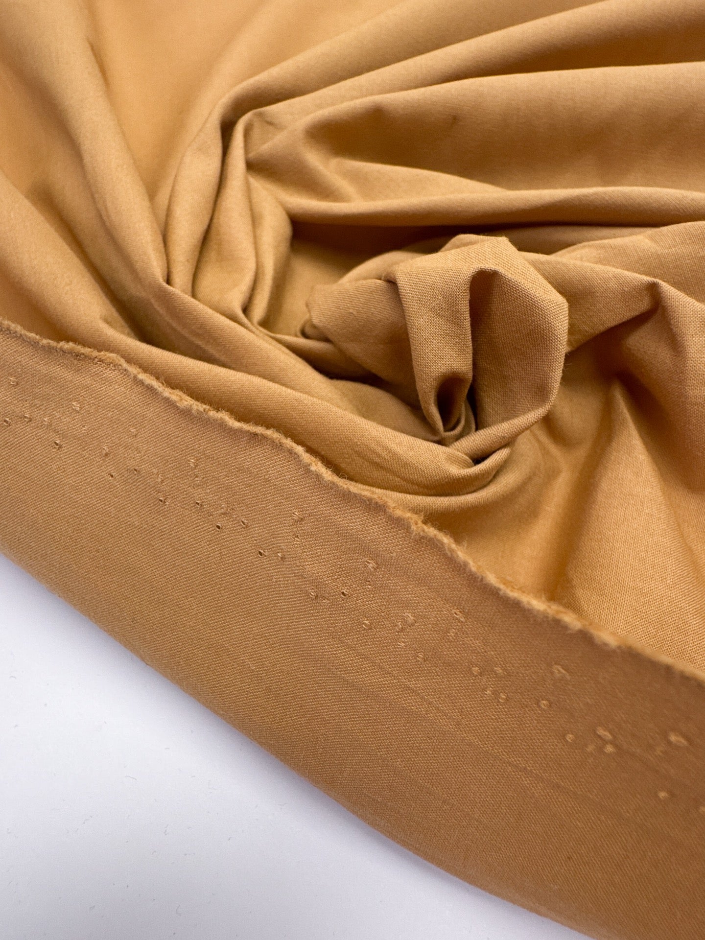 TR-344 – image 2