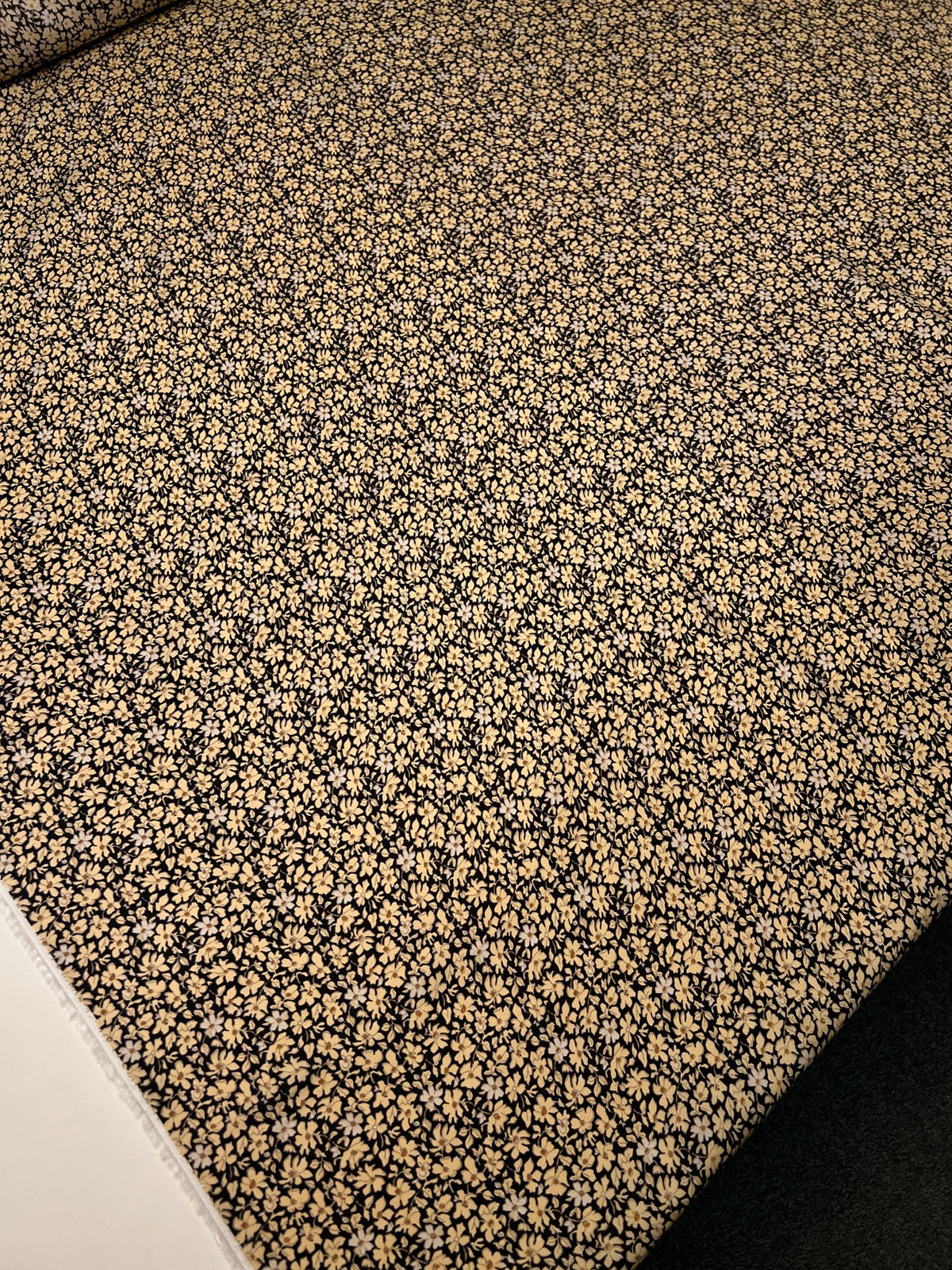 TE-162 image 5