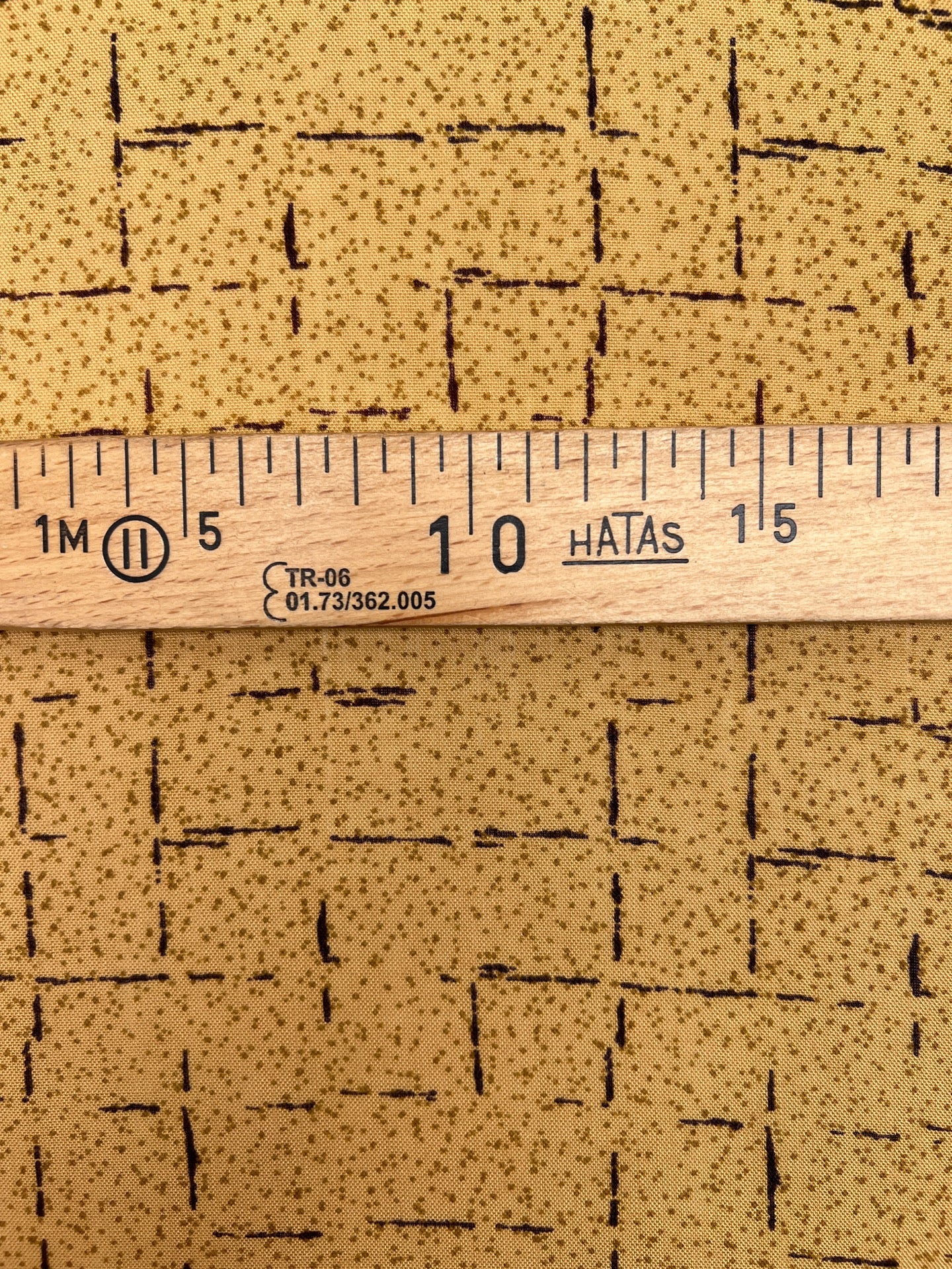TR-243 – image 4