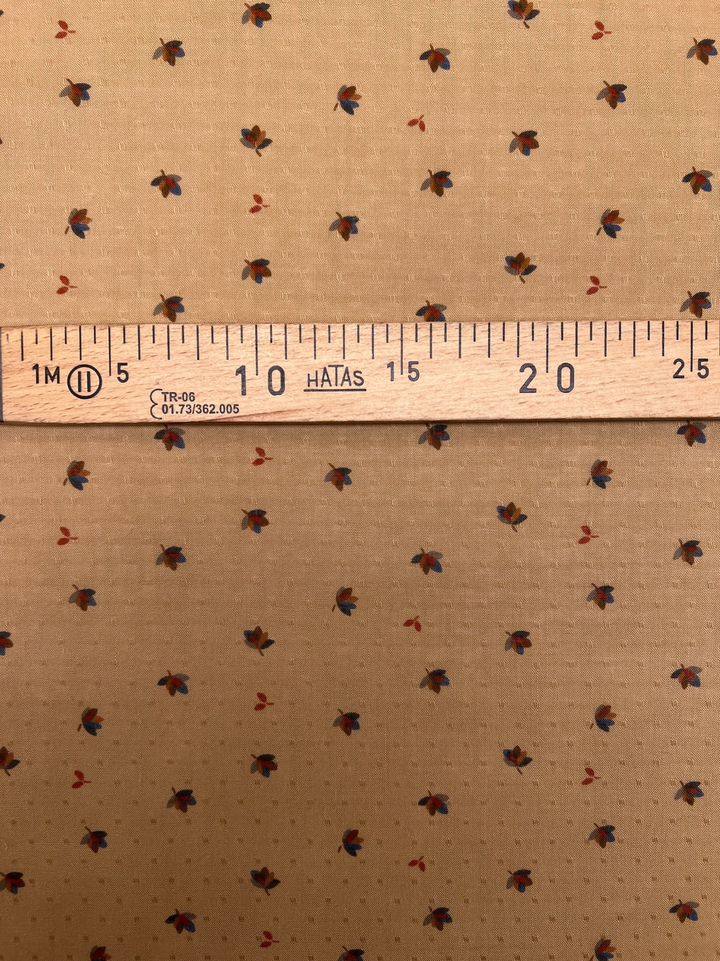 TR-168 – image 4