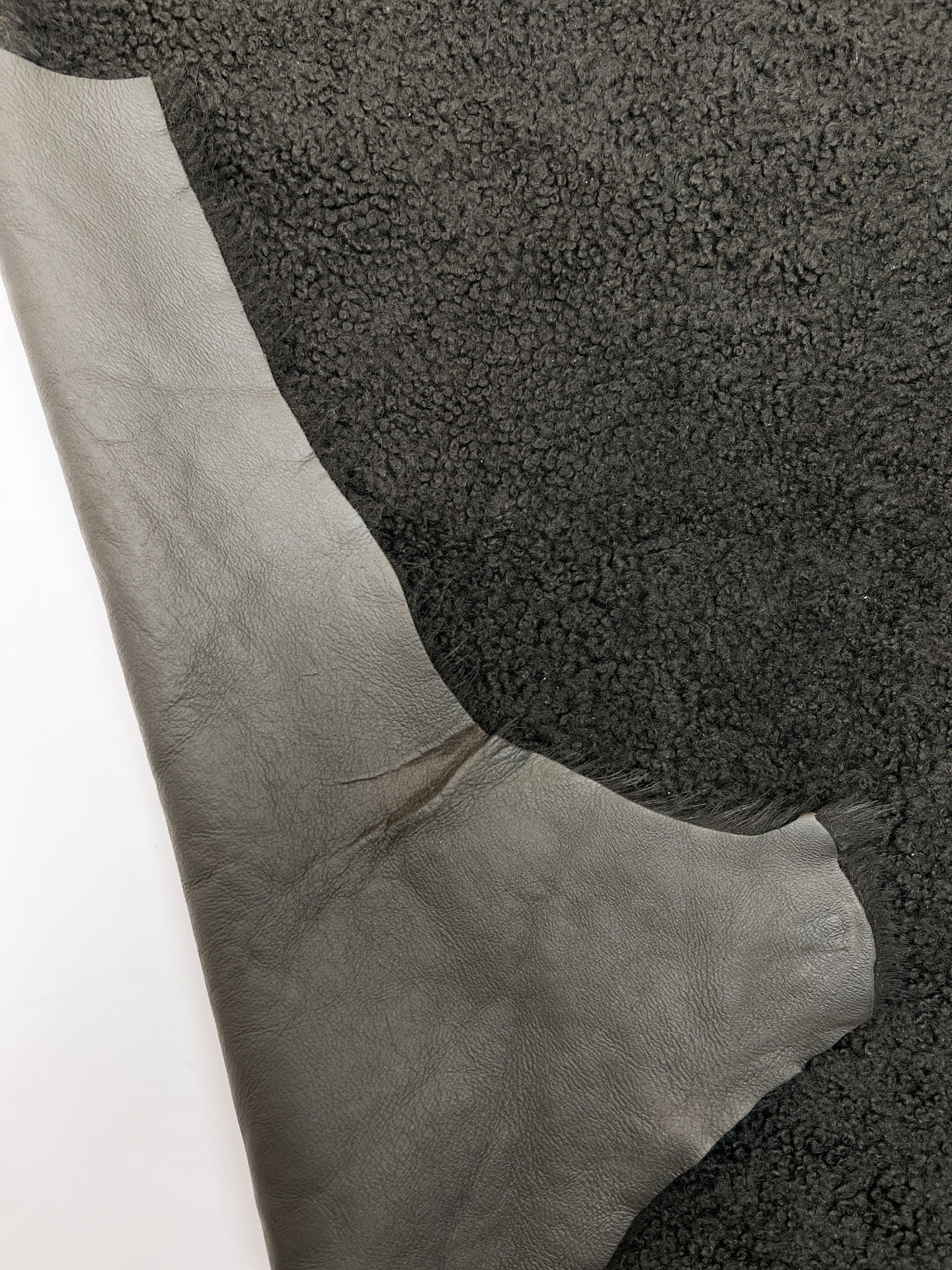 LR-169 – image 4