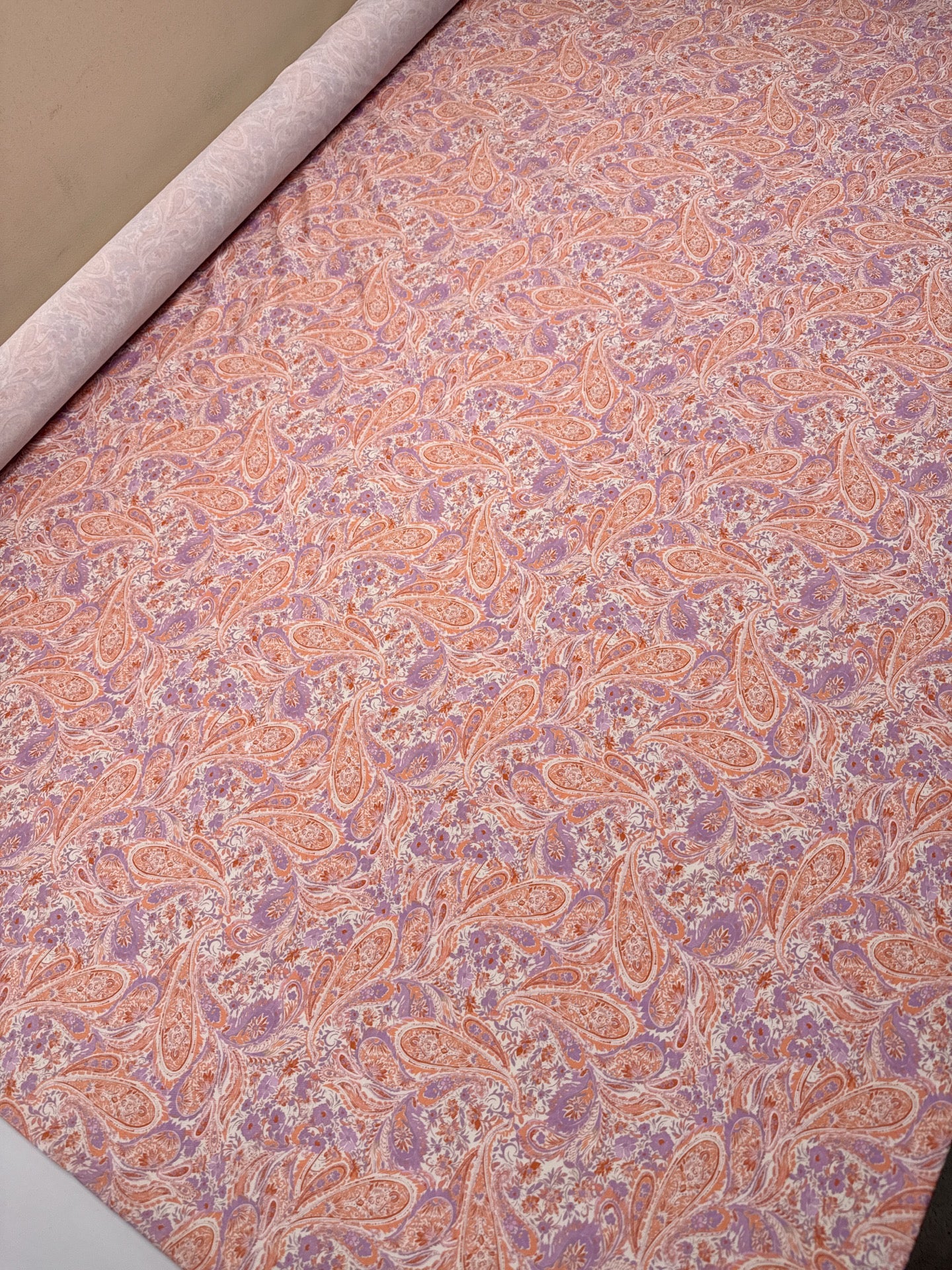 TN-491 – image 5
