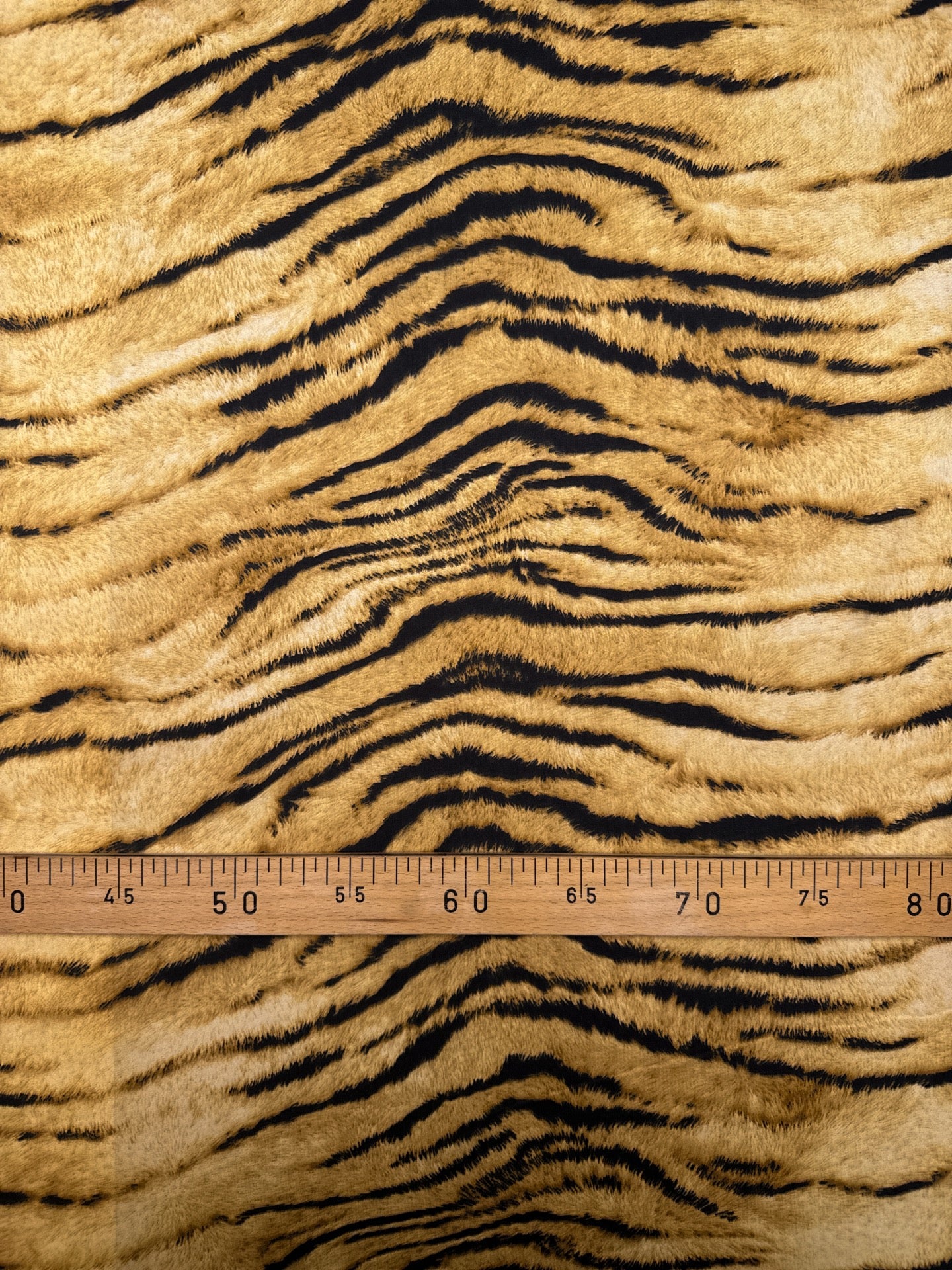 TZ-167 image 4