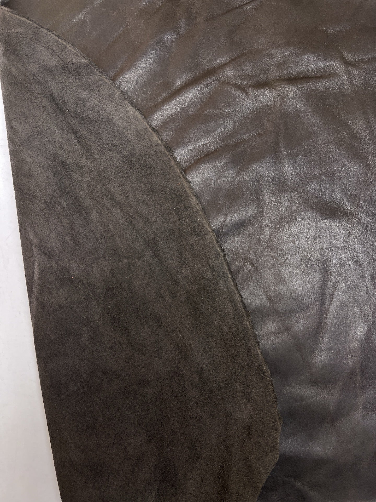 LR-166 – image 4