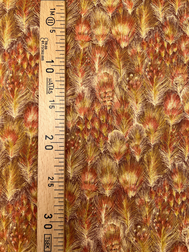 TR-242 – image 4