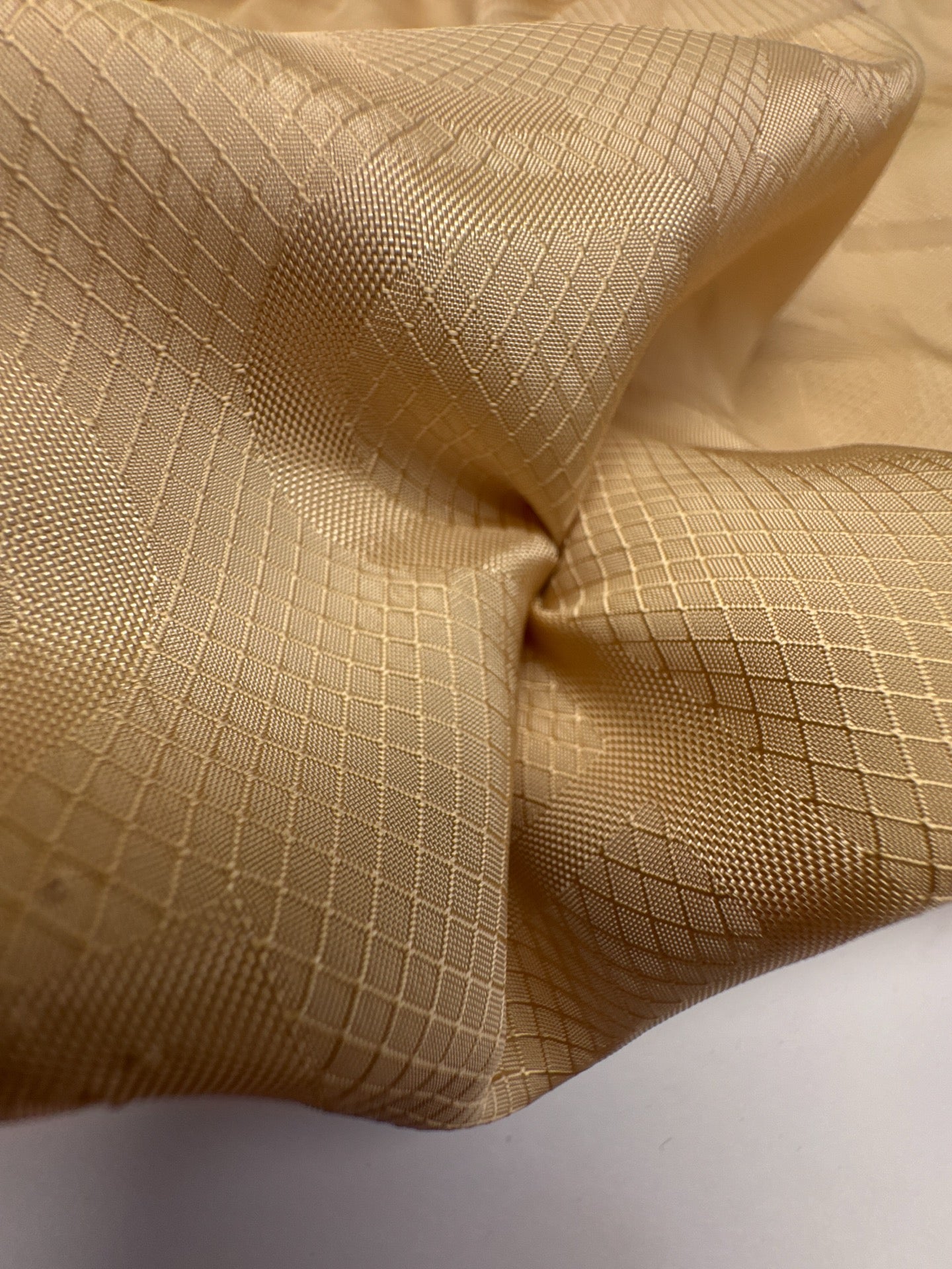 TN-209 – image 3
