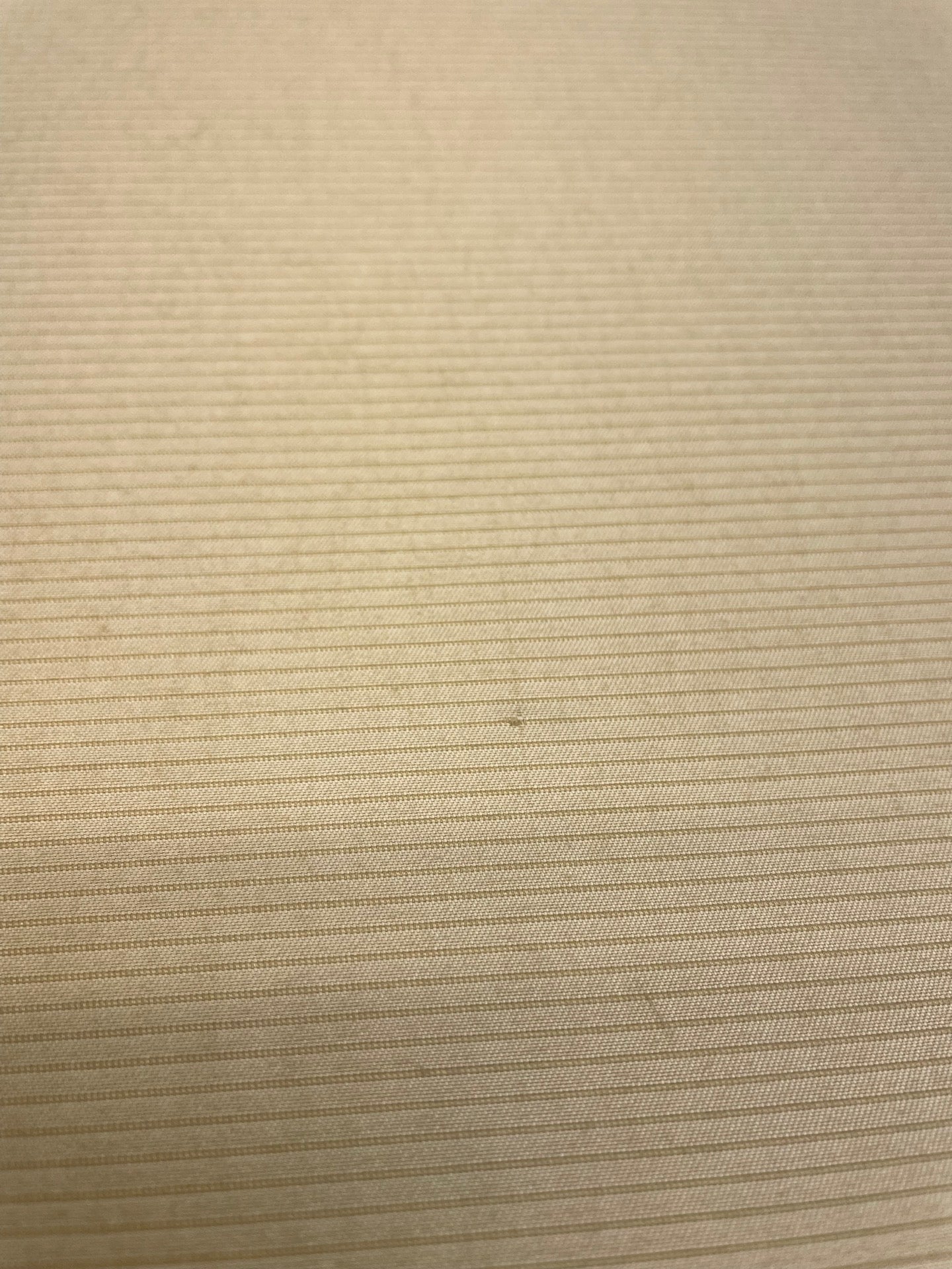 MO-484d – image 5
