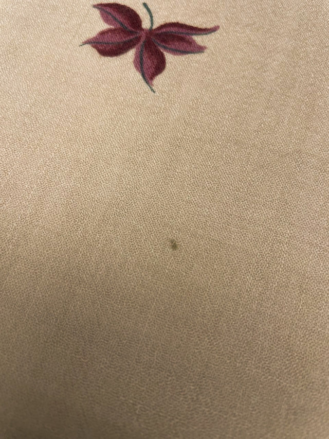 TR-1078d – image 6